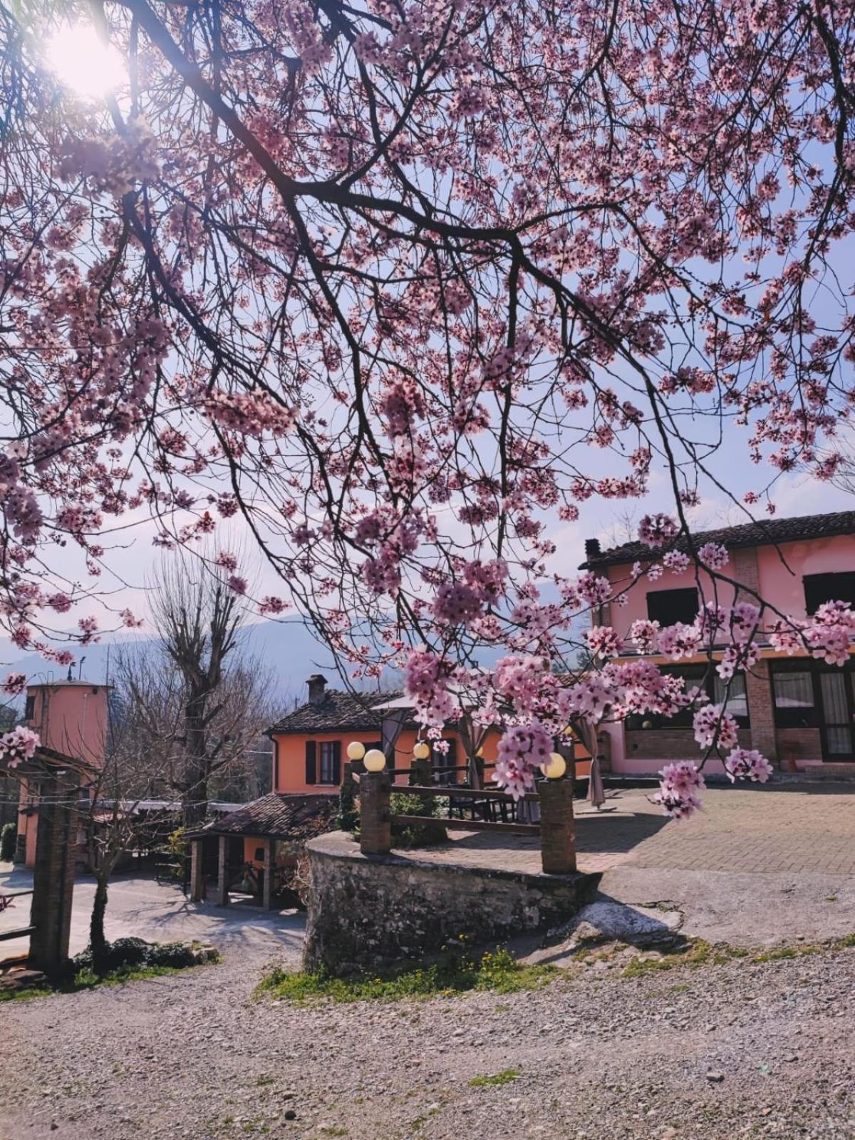 Agriturismo Villa Enrichetta Bettola  Eksteriør bilde